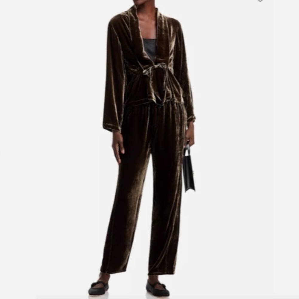 Eileen Fisher Velvet Pants Brown Wren Lantern Ankle Nwt L